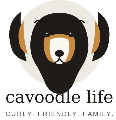 Cavoodle Life